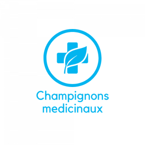 Champignonsmedicinaux