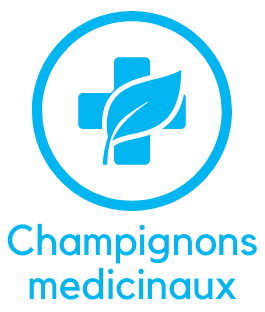 Champignonsmedicinaux